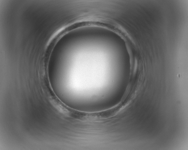 X0000082691069200702021321