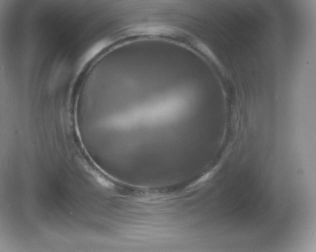 X0000082691071200702021321