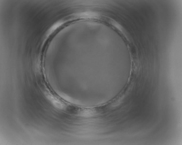 X0000082691074200702021321