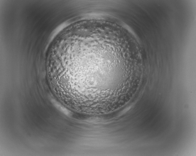 X0000082691075200702021321