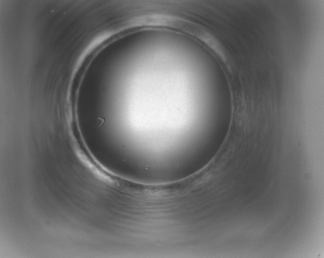 X0000082691080200702021321