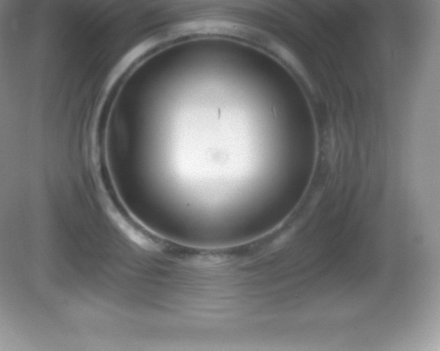 X0000082691082200702021321