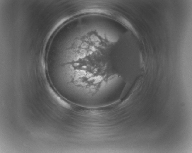X0000082691084200702021321