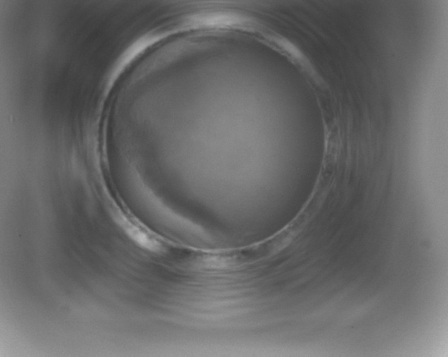 X0000082691086200702021321