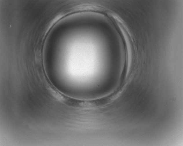 X0000082691089200702021321