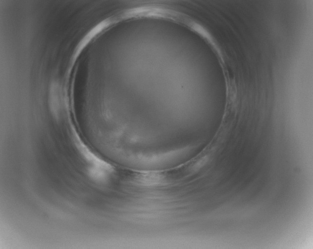 X0000082691090200702021321