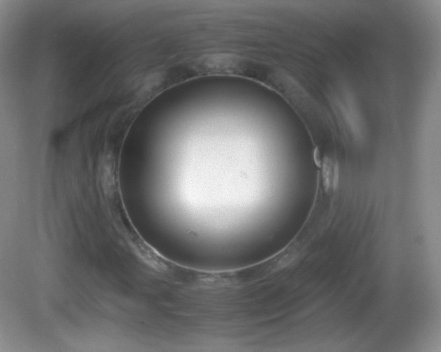 X0000082691107200702021320