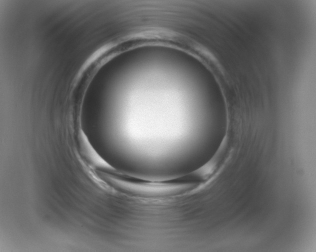 X0000082691114200702021320