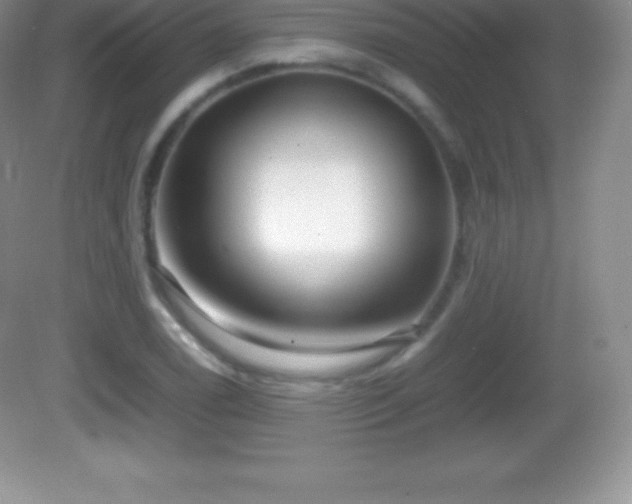 X0000082691122200702021320