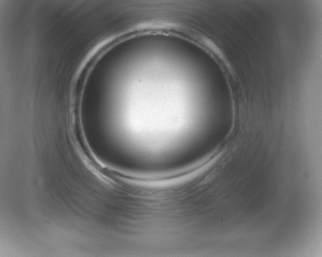X0000082691124200702021320