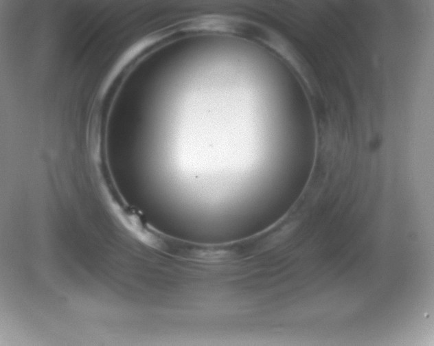 X0000082691131200702021320