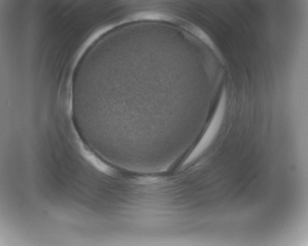 X0000082691132200702021320