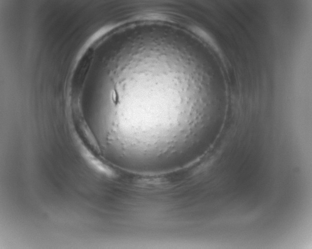 X0000082691133200702021320