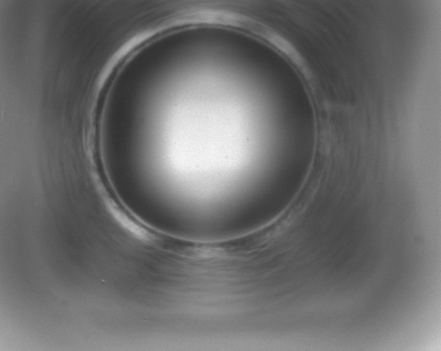 X0000082691136200702021320