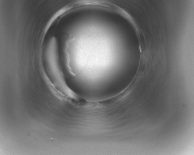 X0000082691146200702021321