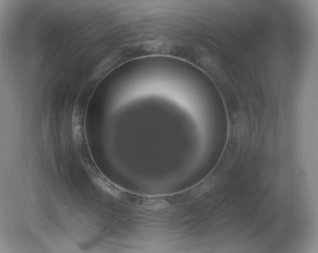 X0000082691154200702021320