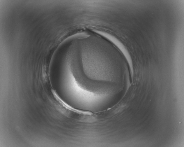 X0000082691156200702021320