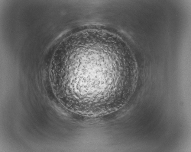 X0000082691159200702021320