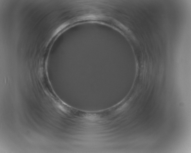 X0000082691170200702021320