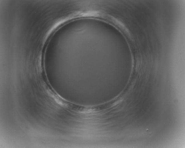 X0000082691174200702021319