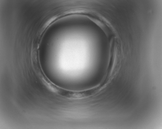 X0000082691177200702021319