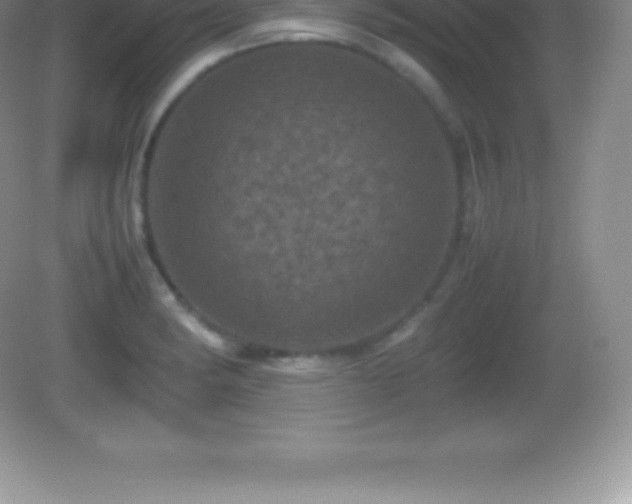 X0000082691182200702021319