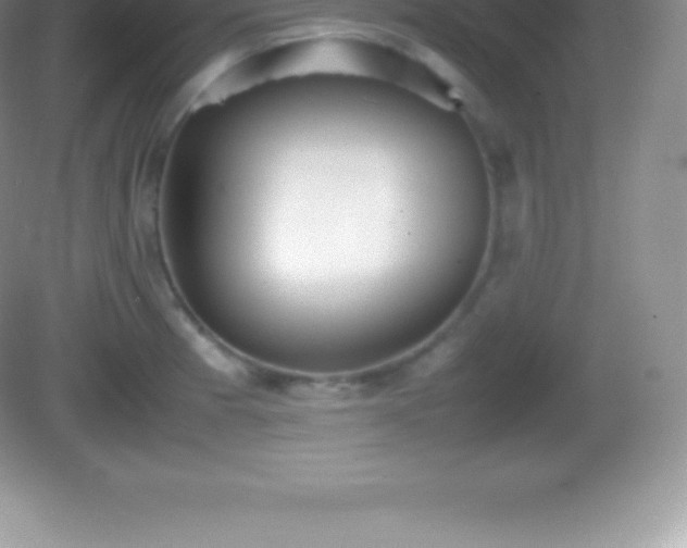X0000082691185200702021319
