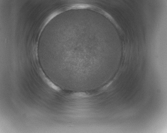 X0000082691186200702021319