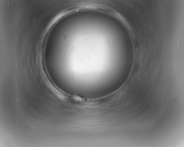 X0000082691187200702021319