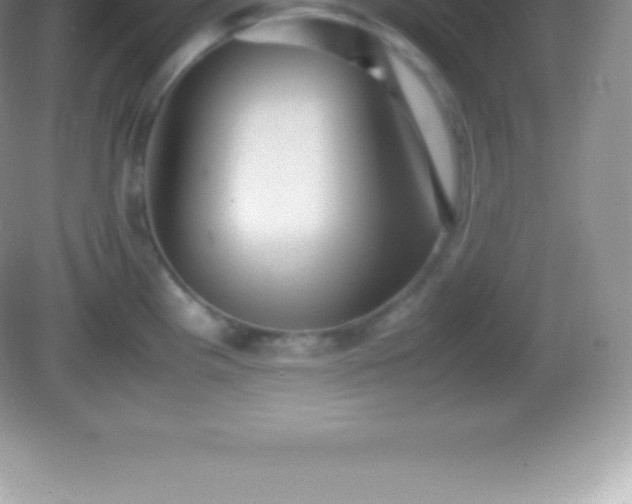 X0000082691193200702021319
