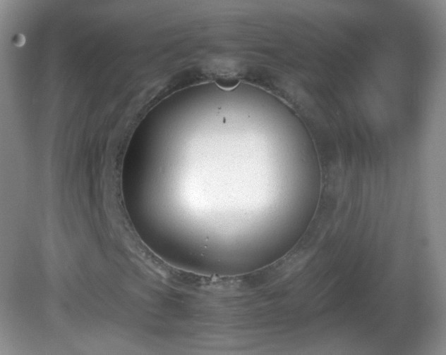 X0000082691201200702021318