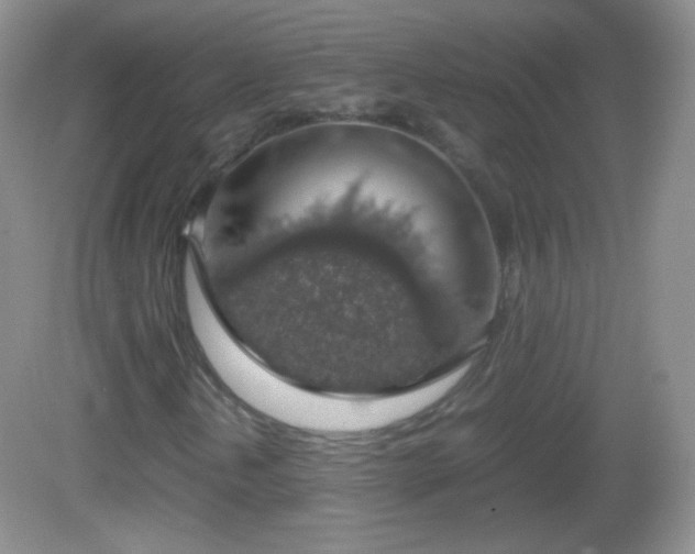 X0000082691202200702021318
