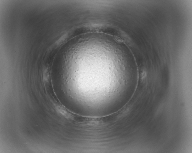 X0000082691204200702021318