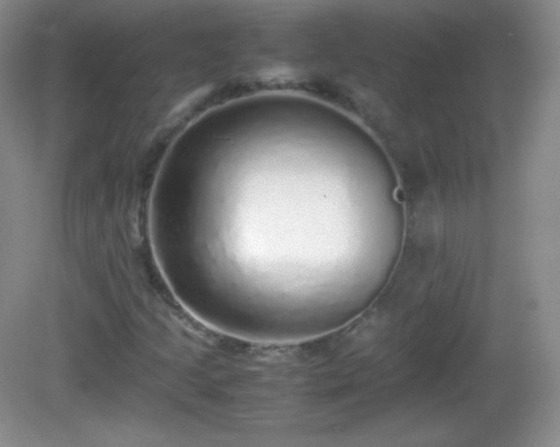 X0000082691205200702021318