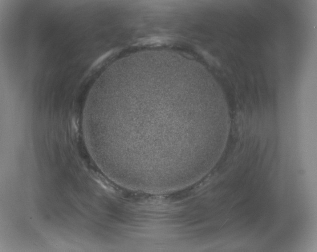 X0000082691206200702021318