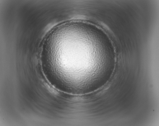 X0000082691212200702021318