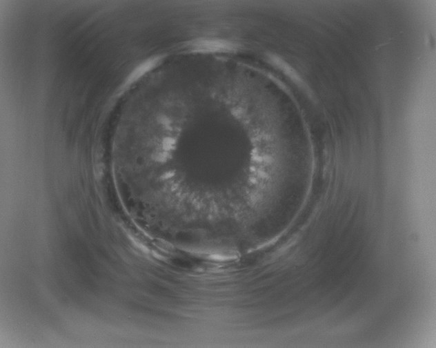 X0000082691213200702021318