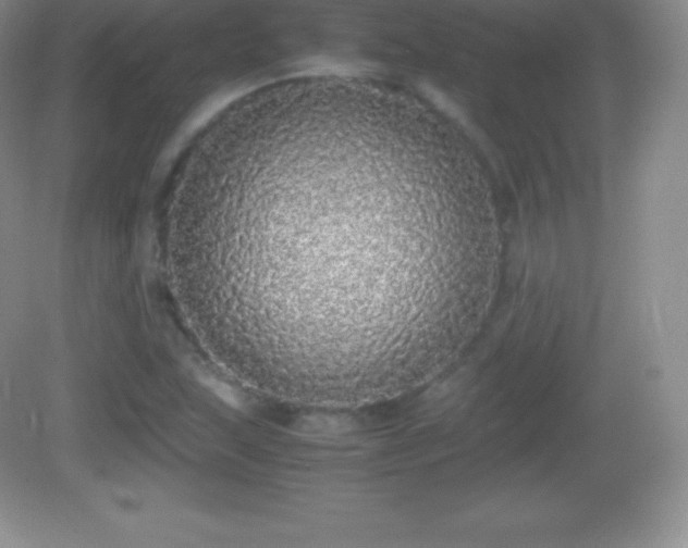 X0000082691215200702021318