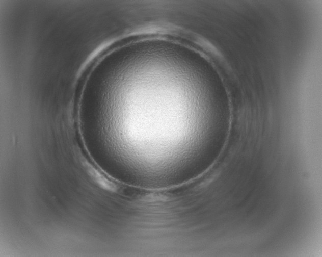 X0000082691216200702021319