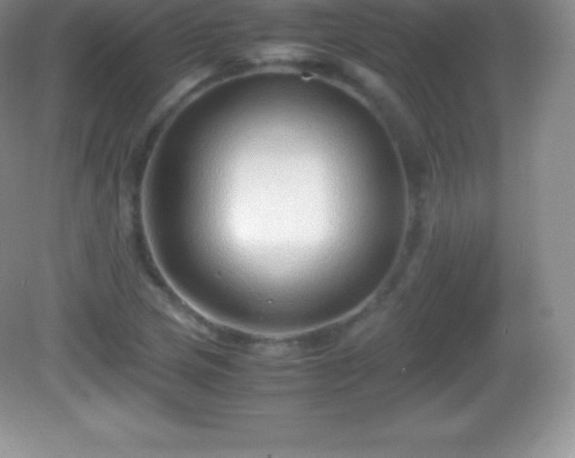 X0000082691217200702021319