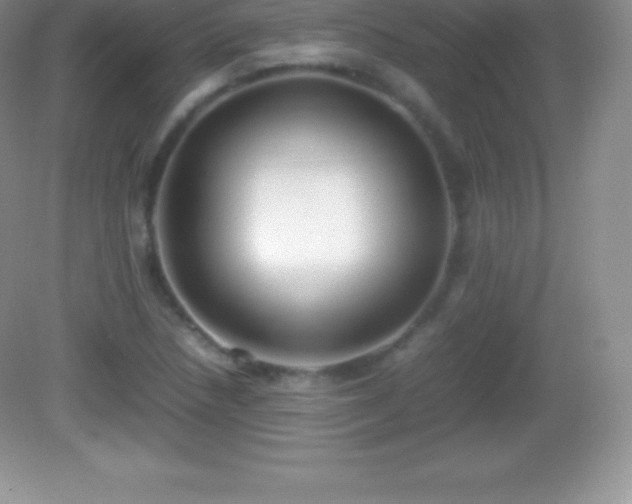 X0000082691218200702021319