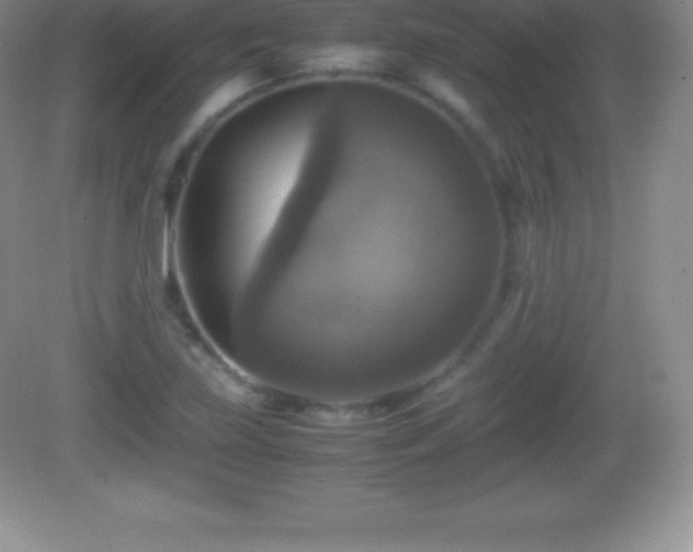 X0000082691219200702021319