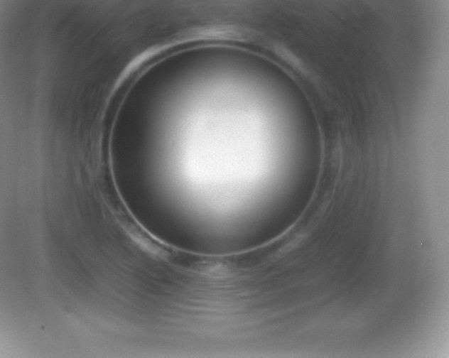 X0000082691222200702021319