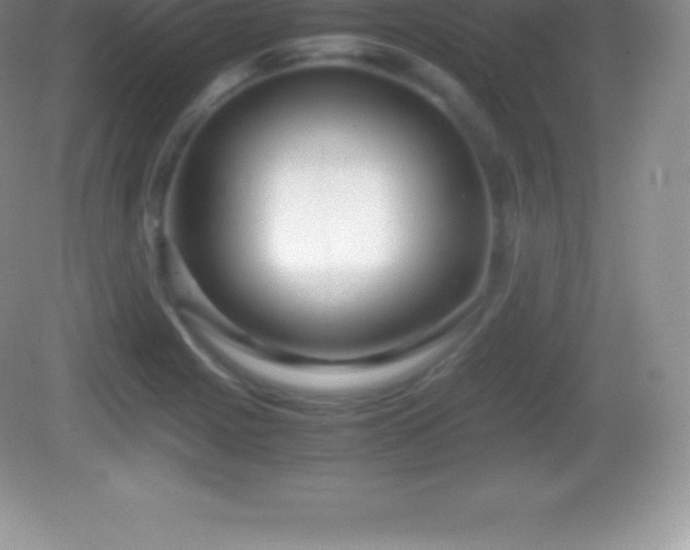 X0000082691225200702021319