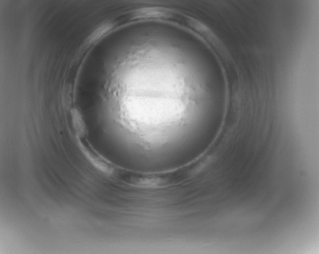 X0000082691233200702021319