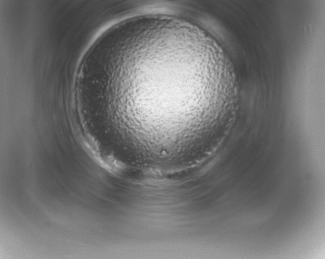 X0000082691236200702021319