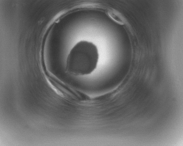 X0000082691237200702021319