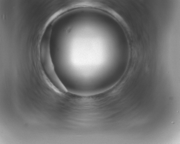 X0000082691238200702021319