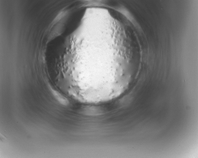 X0000082691241200702021319