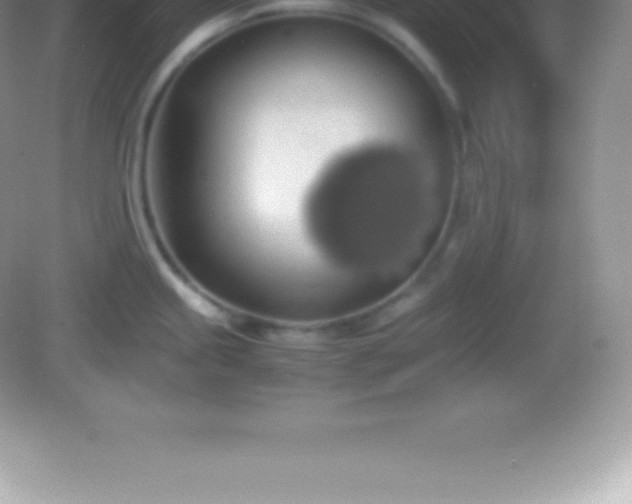 X0000082691245200702021319